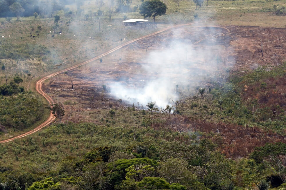 Las órdenes judiciales que buscan frenar deforestación en los parques Tinigua y Los Picachos