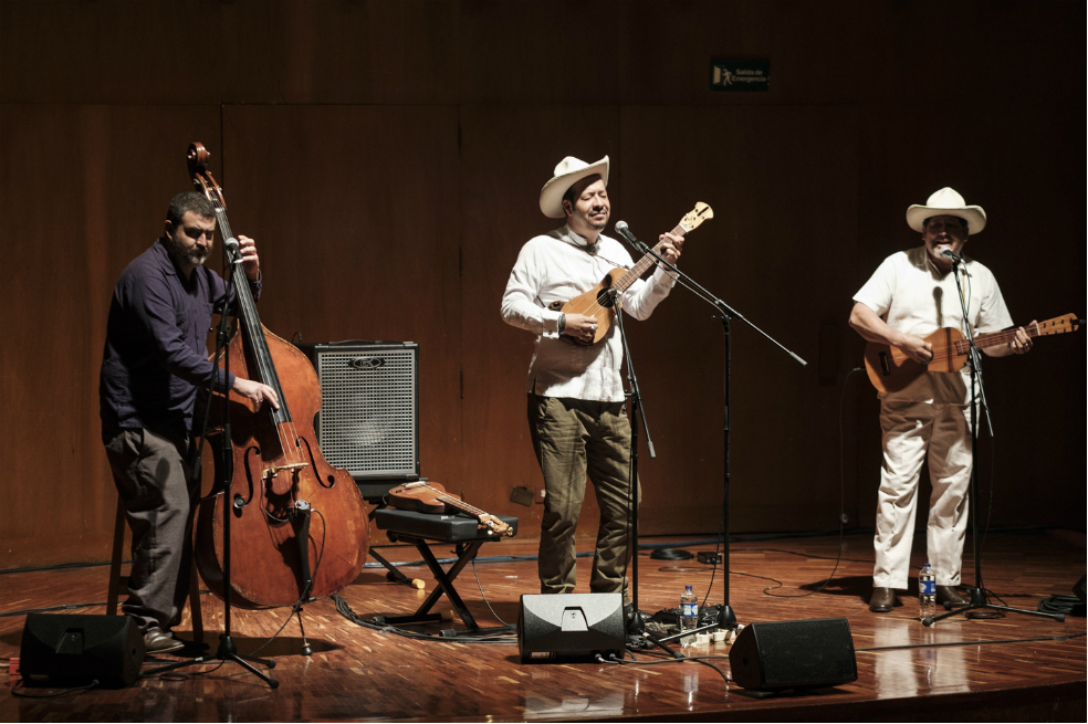 Son de Madera, la actualidad del son xarocho