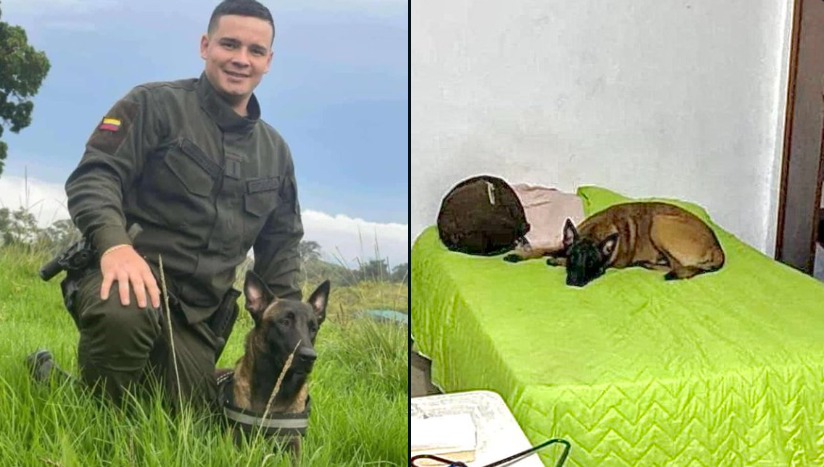 La triste reacción del perrito del subteniente asesinado en Norte de Santander