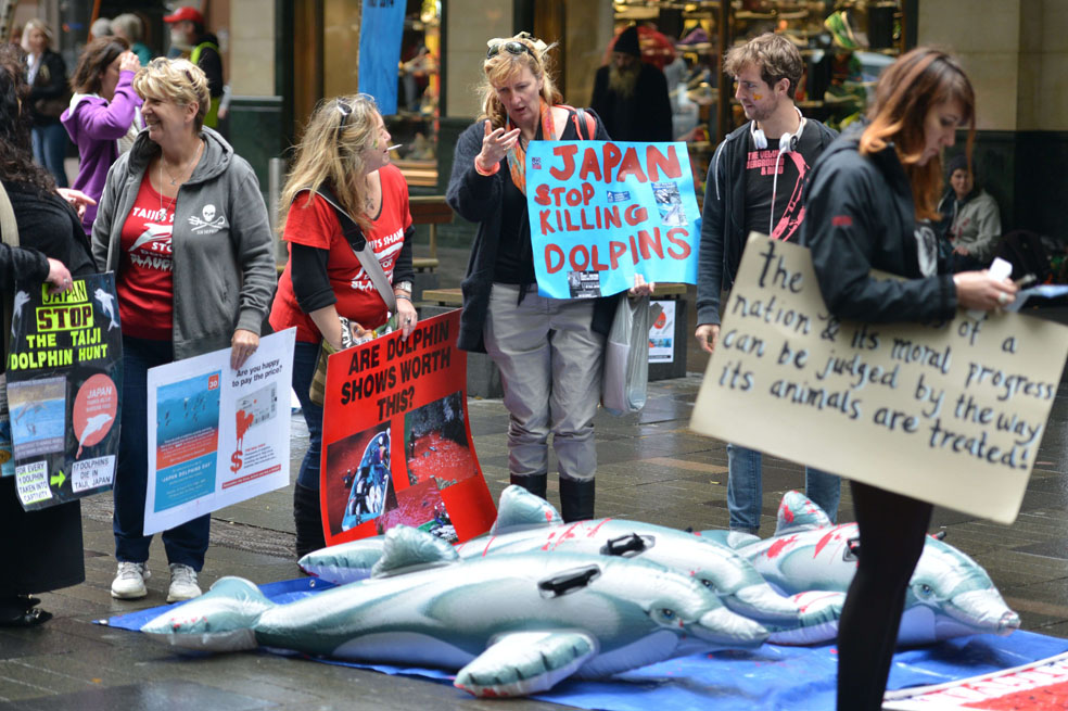 Activistas, contra la caza de delfines