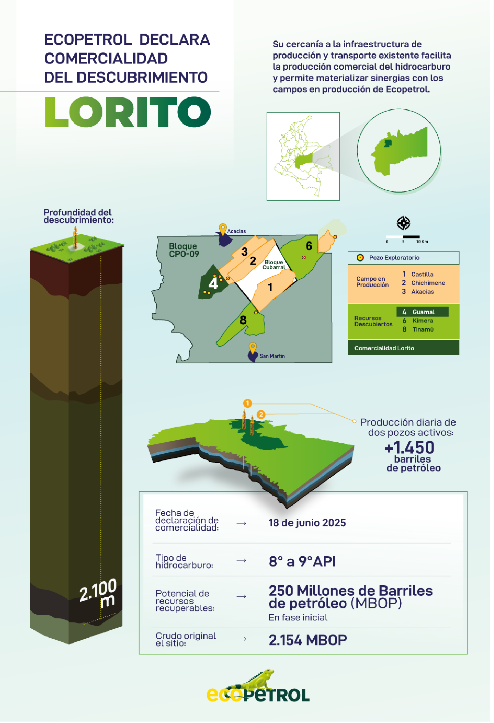 Infografía Lorito