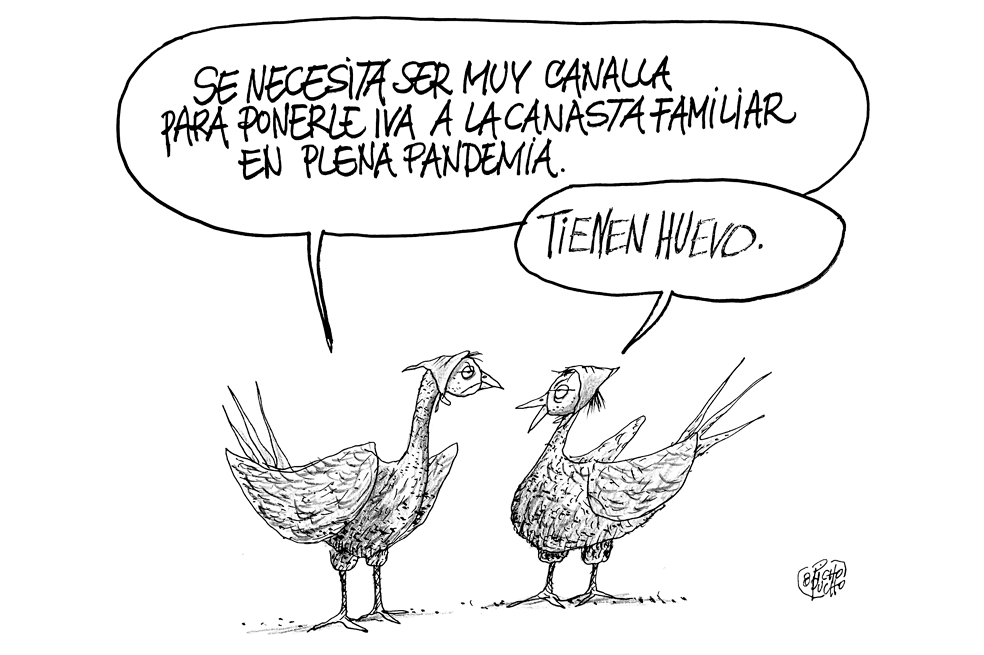 Alto turmequé: de nombramientos, candidaturas y otras especies