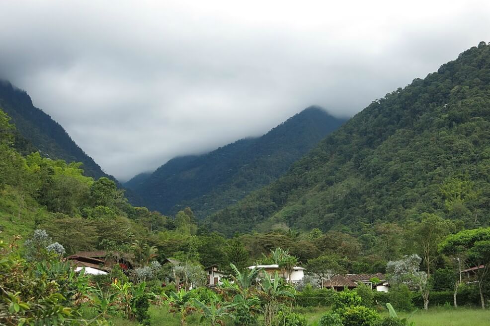 Cuatro capturados deja operativo contra la minería ilegal en el parque natural Farallones de Cali