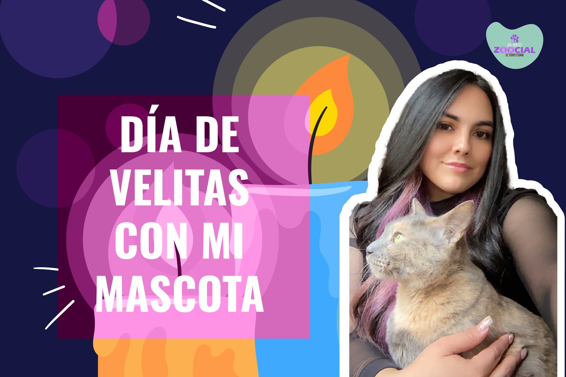 Día de las Velitas en Colombia: consejos para celebrar con su perro o gato