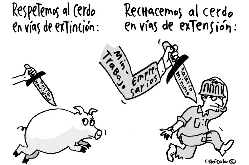 Chócolo