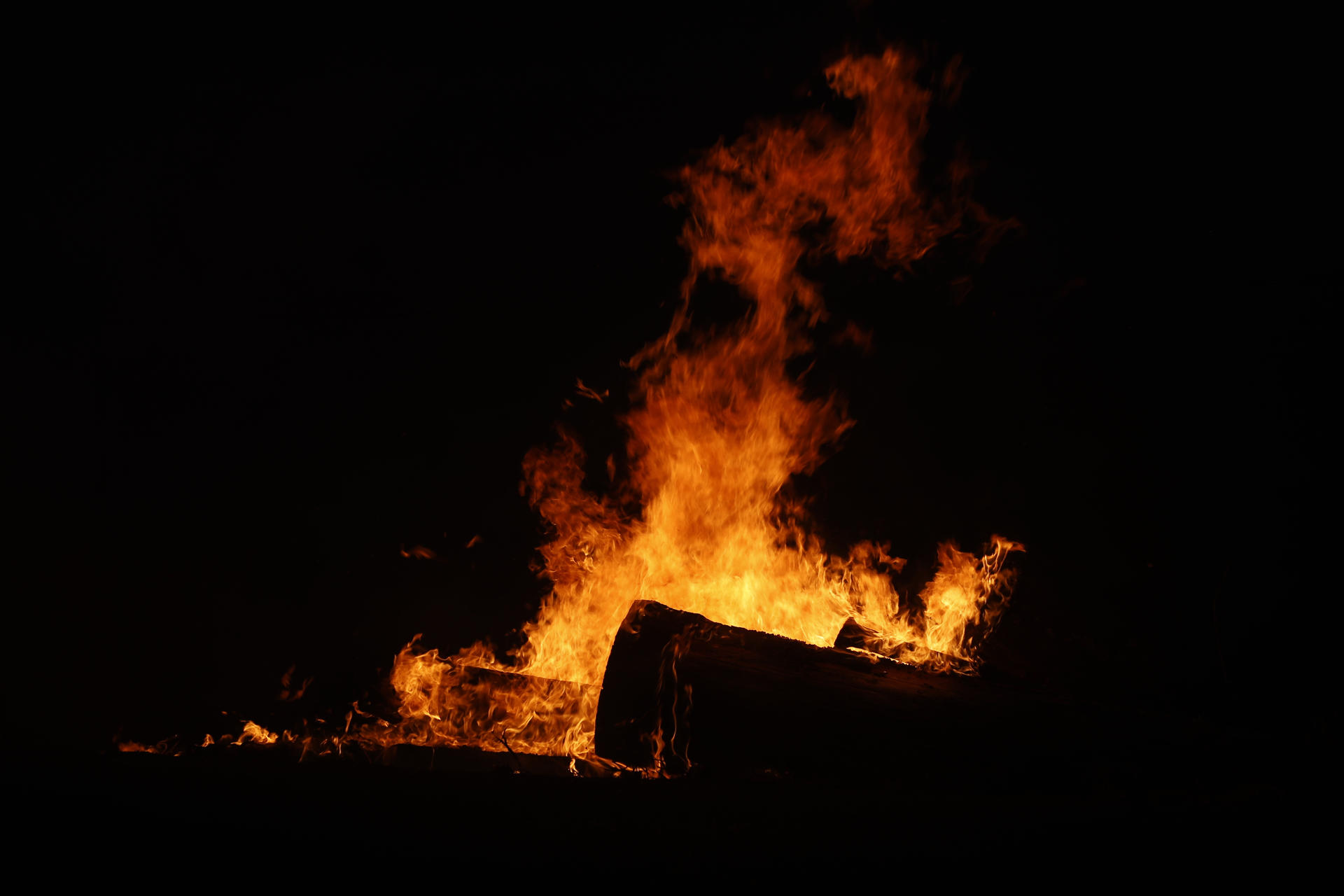El libro que salvaríamos del incendio