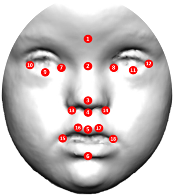 Los científicos registraron las coordenadas de un conjunto de 18 puntos de referencia anatómicos faciales alrededor de los labios, la nariz y los ojos. / Cortesía