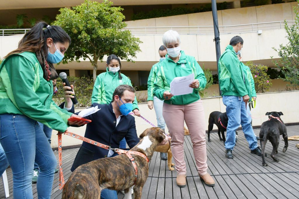 Nueva jornada de donación para refugios de animales en Bogotá, ¿cuándo y dónde?