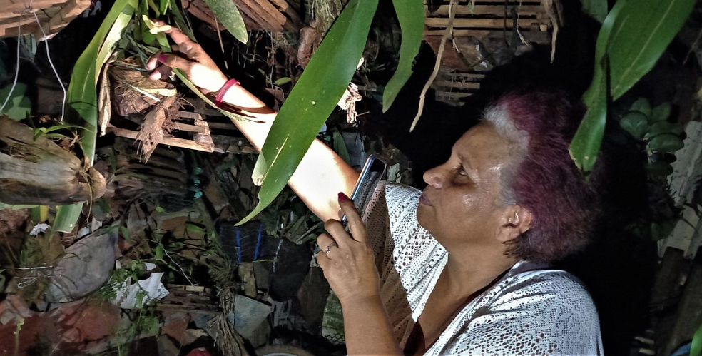 Leonora Ibarra y sus orquídeas.