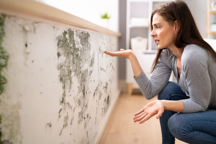 Vinagre blanco: elimina el moho con esta preparación casera y fácil