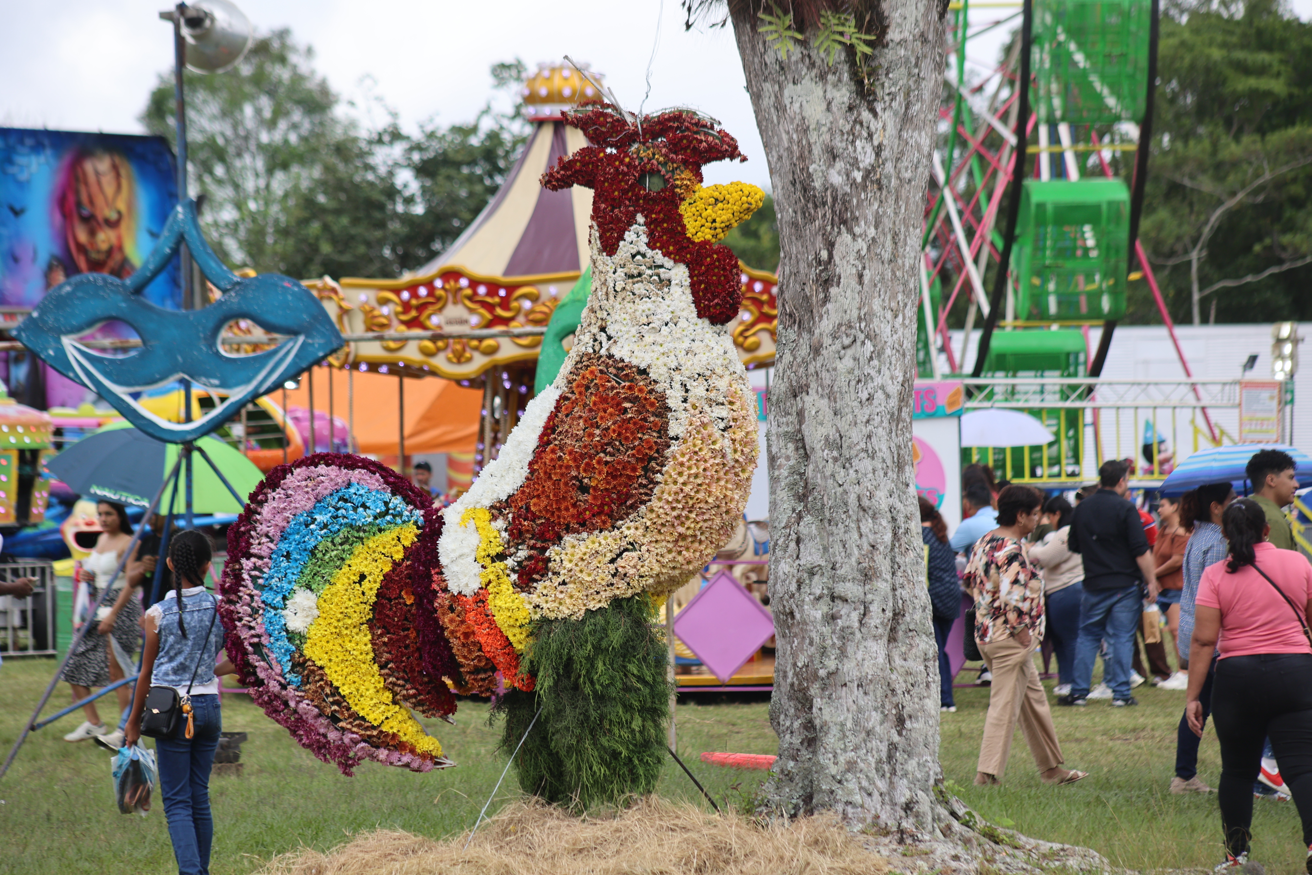 AME035. VOLCÁN (PANAMÁ), 15/09/2024.- Fotografía que muestra un gallo gigante elaborado con flores en la octava edición de la "Parada de las Flores" el 14 de septiembre de 2024 en el pequeño pueblo de Volcán (Panamá). Al rededor de un millón y medio de flores han dado forma este domingo a más de un centenar de figuras de animales en Panamá durante la octava edición de la "Parada de las Flores", un colorido evento anual que muestra el arte de la "mosaicultura". EFE/ Marcelino Rosario