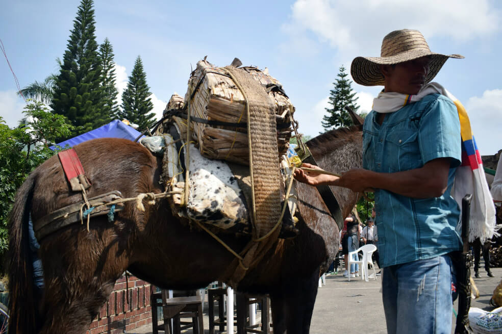 Moniquirá, el pueblo que huele a guayaba