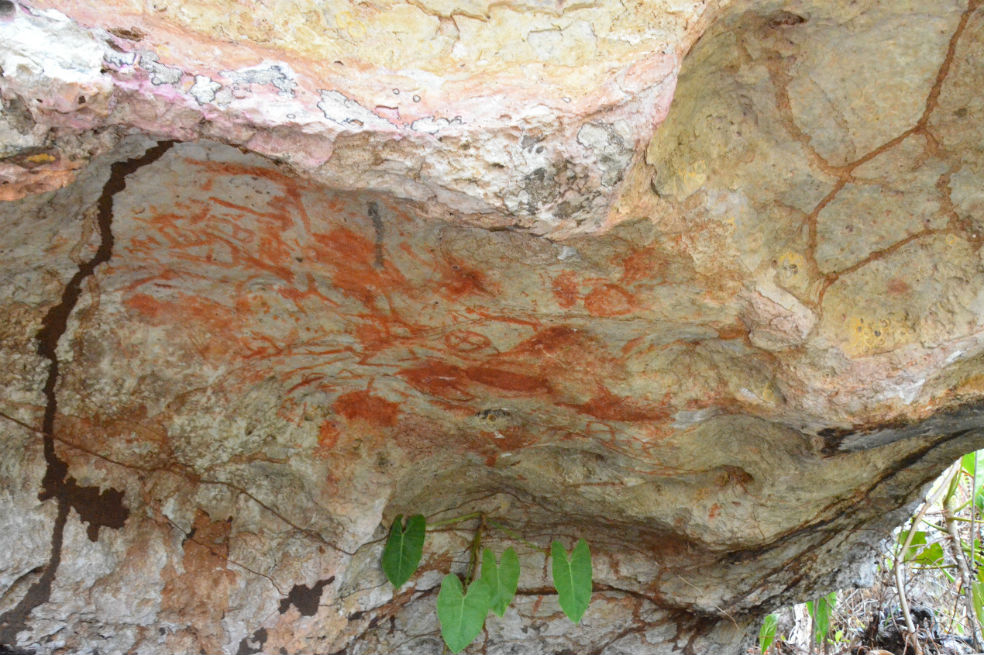 Serranía La Lindosa es declarada nueva Área Arqueológica Protegida