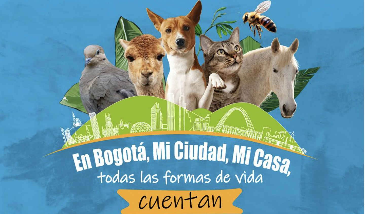 ¡Prográmese! Bogotá celebra la XII Semana de Bienestar Animal con más de 40 actividades