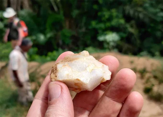 Encuentran la evidencia más antigua de humanos que vivieron en una selva tropical