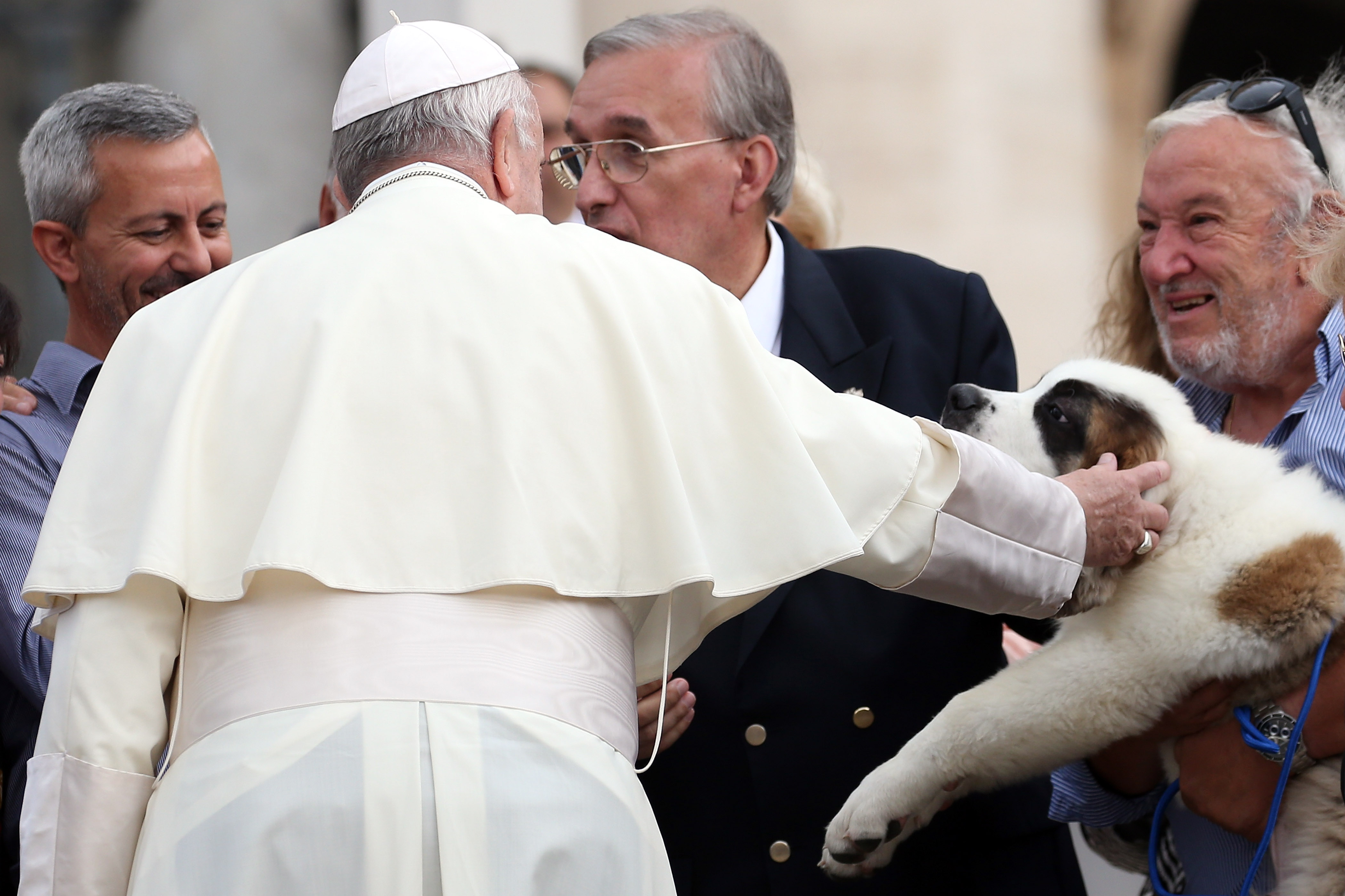 Un legado de compasión: el papa Francisco y su vínculo con el mundo animal