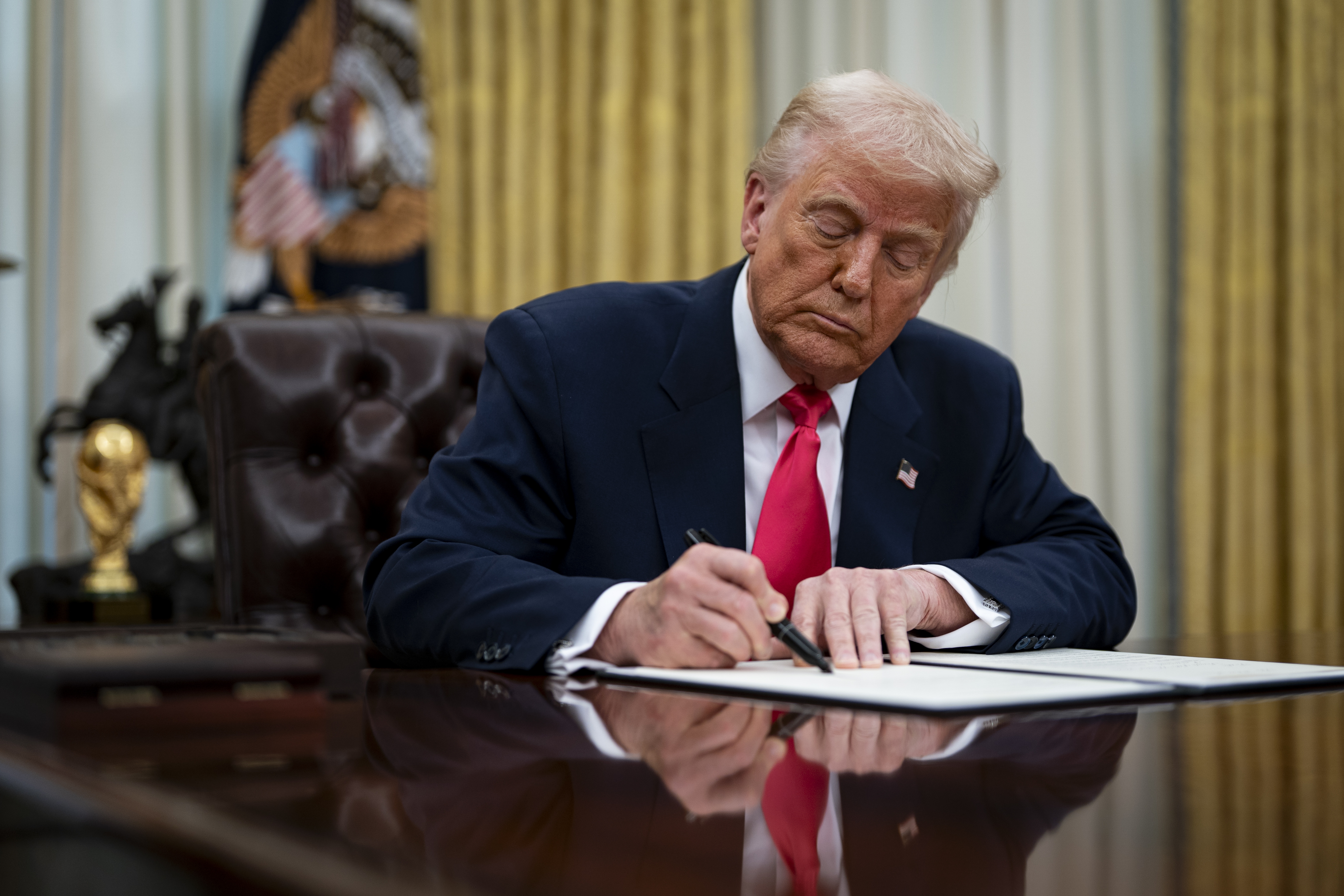 Trump ordena ampliar tala de árboles en 113 millones de hectáreas de EE. UU.