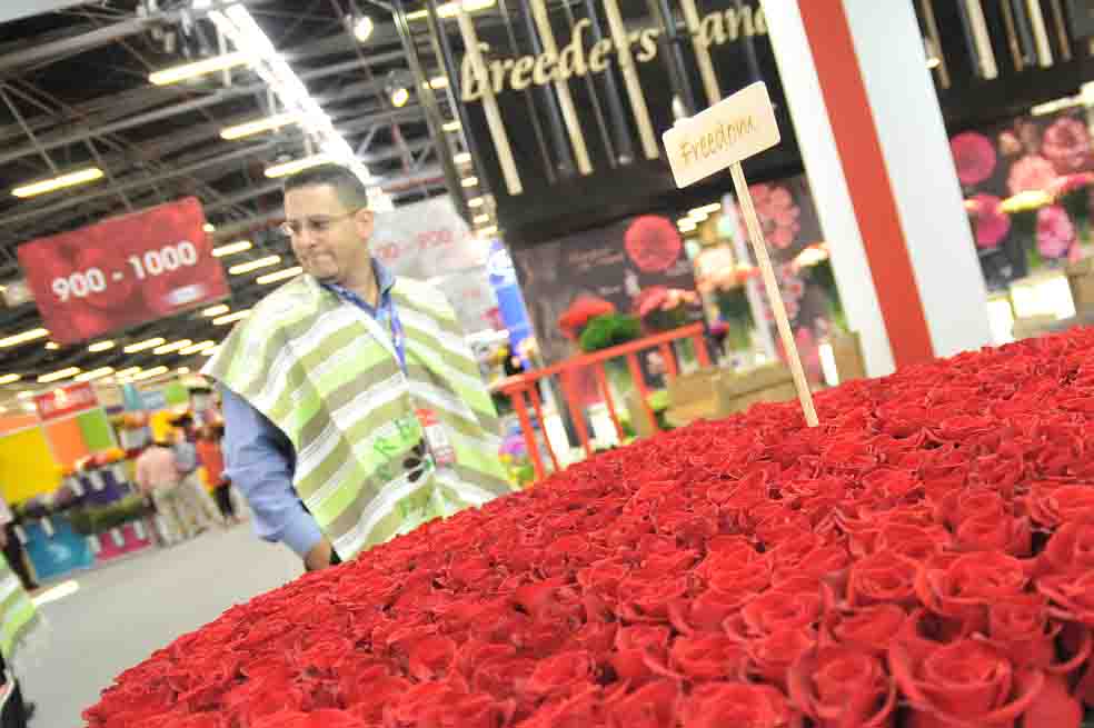 Floricultores, confiados en un dólar caro
