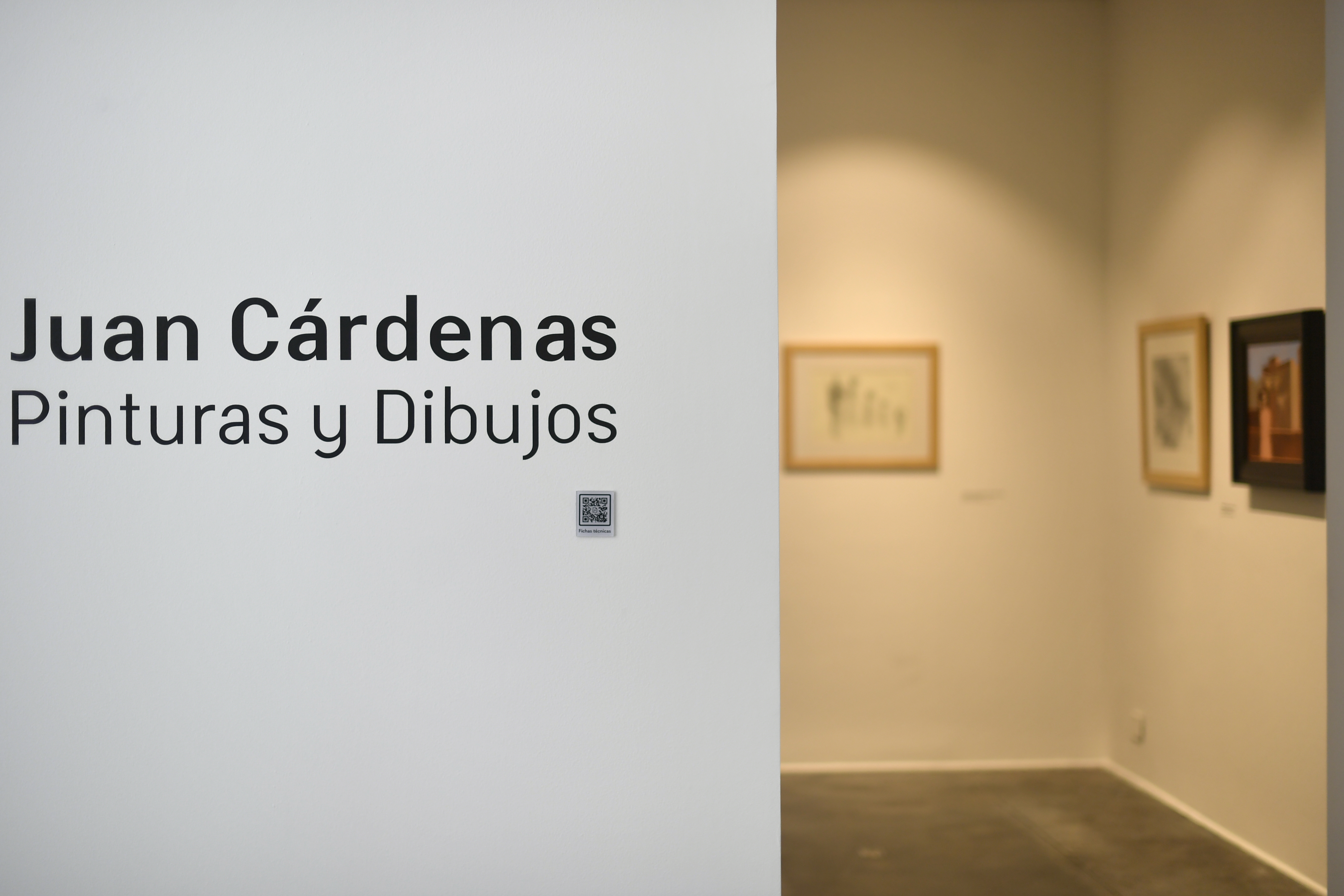 En una entrevista para este diario, Juan Cárdenas mencionó que prefería hablar a través de su obra: “Es muy difícil intentar verbalizar sobre mis pinturas, sencillamente porque lo que dice una imagen pintada no es lo mismo que dice la palabra escrita".