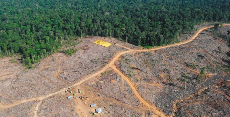 En abril de 2018, la Corte Suprema de Justicia exigió al Estado proteger la Amazonia colombiana de la deforestación con la Sentencia 4360 de 2018. Las audiencias buscaban hacer seguimiento a las medidas implementadas para protegerla. / AFP