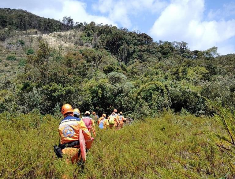 Imagen de referencia. Las bajas temperaturas en varios municipios de Nariño han afectado cultivos y pastos.