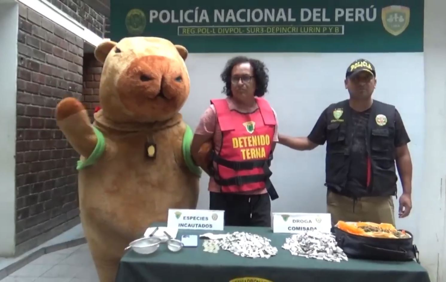 Sorpresa de San Valentín: con disfraz del “capibara del amor” capturan a un narco