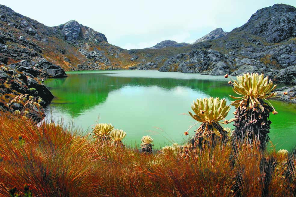 Los usos y abusos del agua