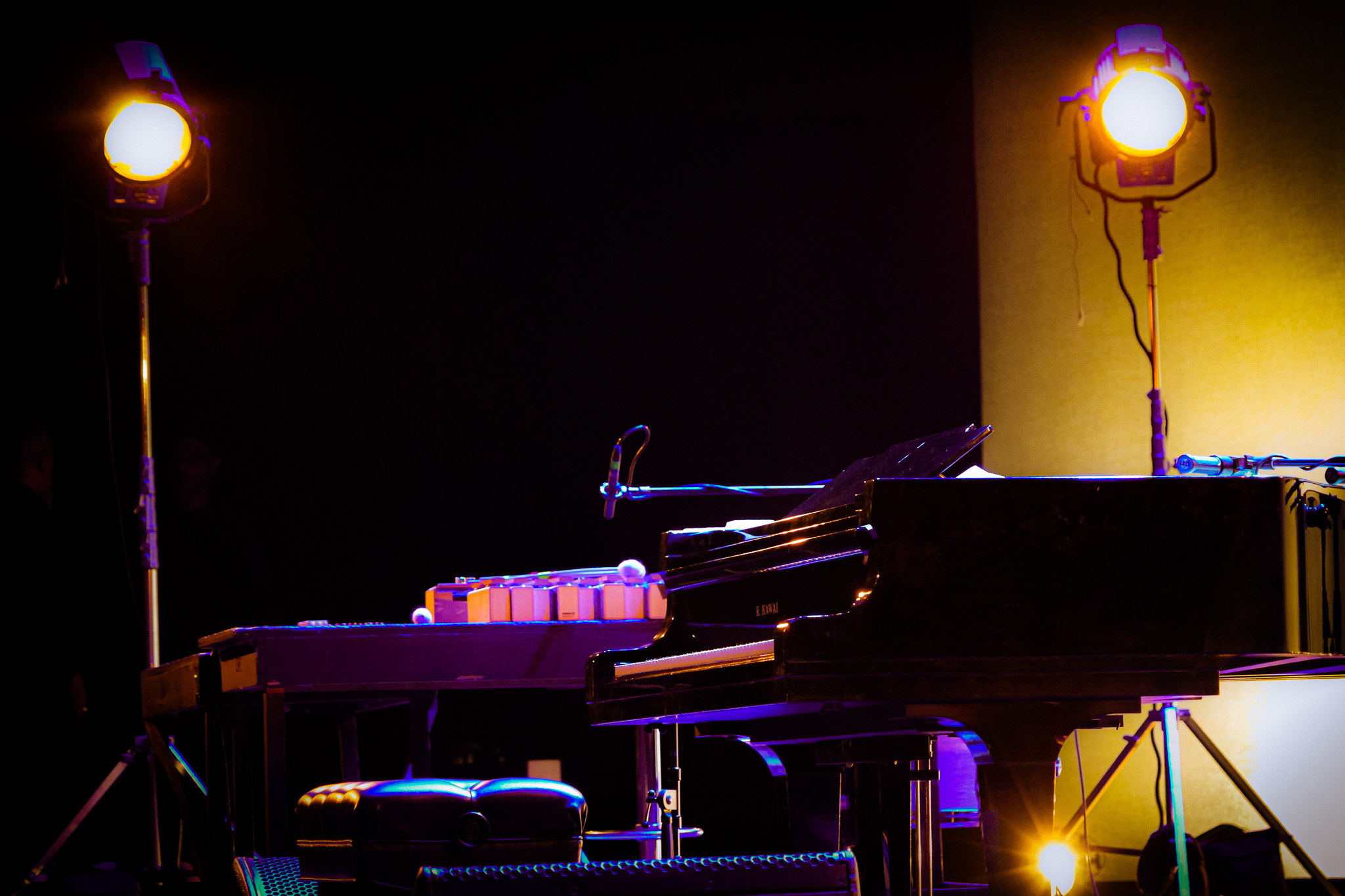 Ludovico Einaudi es un pianista comprometido con el activismo a favor de la defensa del medio ambiente. En 2016, realizó un concierto en el Ártico para crear conciencia sobre el cambio climático.