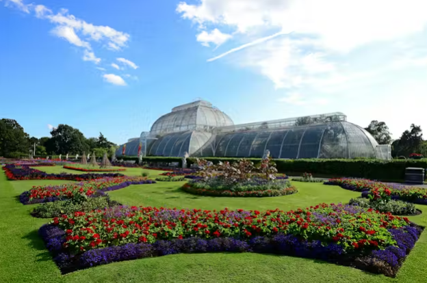 Fundados en 1759 por la princesa Augusta, los Jardines de Kew son hoy uno de los referentes botánicos más importantes del mundo y Patrimonio de la Humanidad por la Unesco desde 2003. Con más de 30.000 especies y 8,5 millones de objetos botánicos y micológicos, su misión es comprender y proteger plantas y hongos para el bienestar humano y el futuro del planeta, en un momento crítico de crisis de biodiversidad.