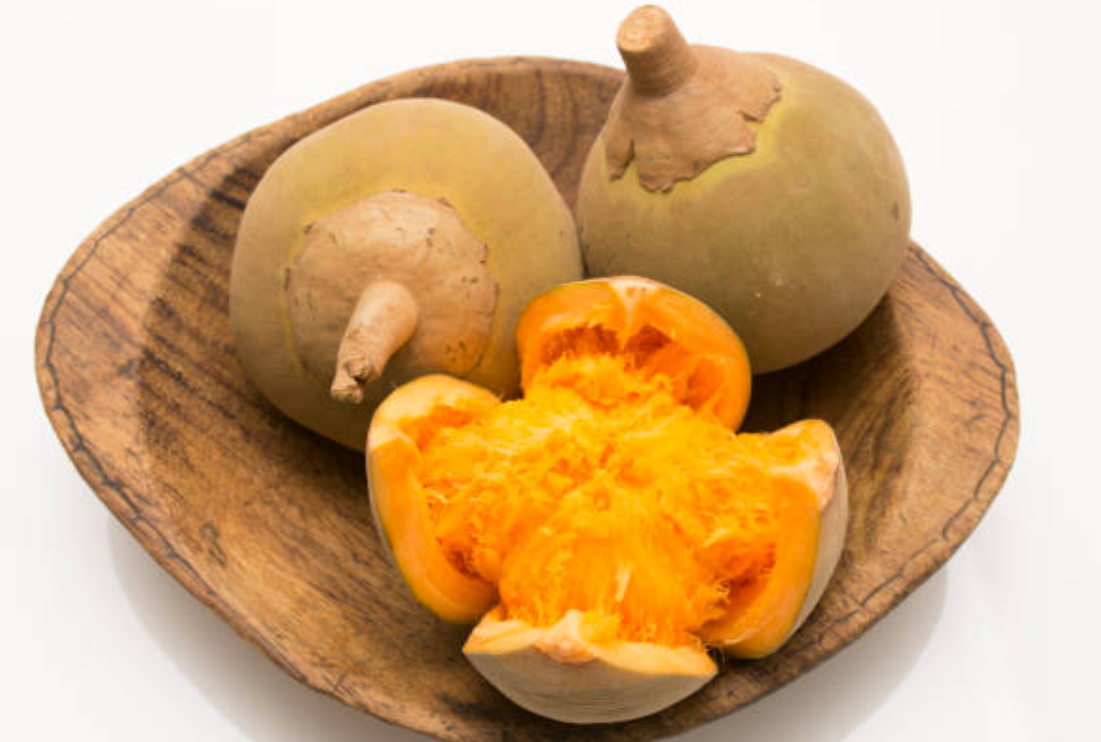 Zapote, imagen de referencia