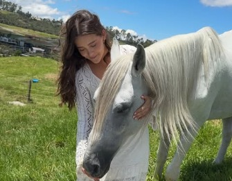 Emotivo video: así vive Ángel, el caballo cochero que era maltratado en Cartagena