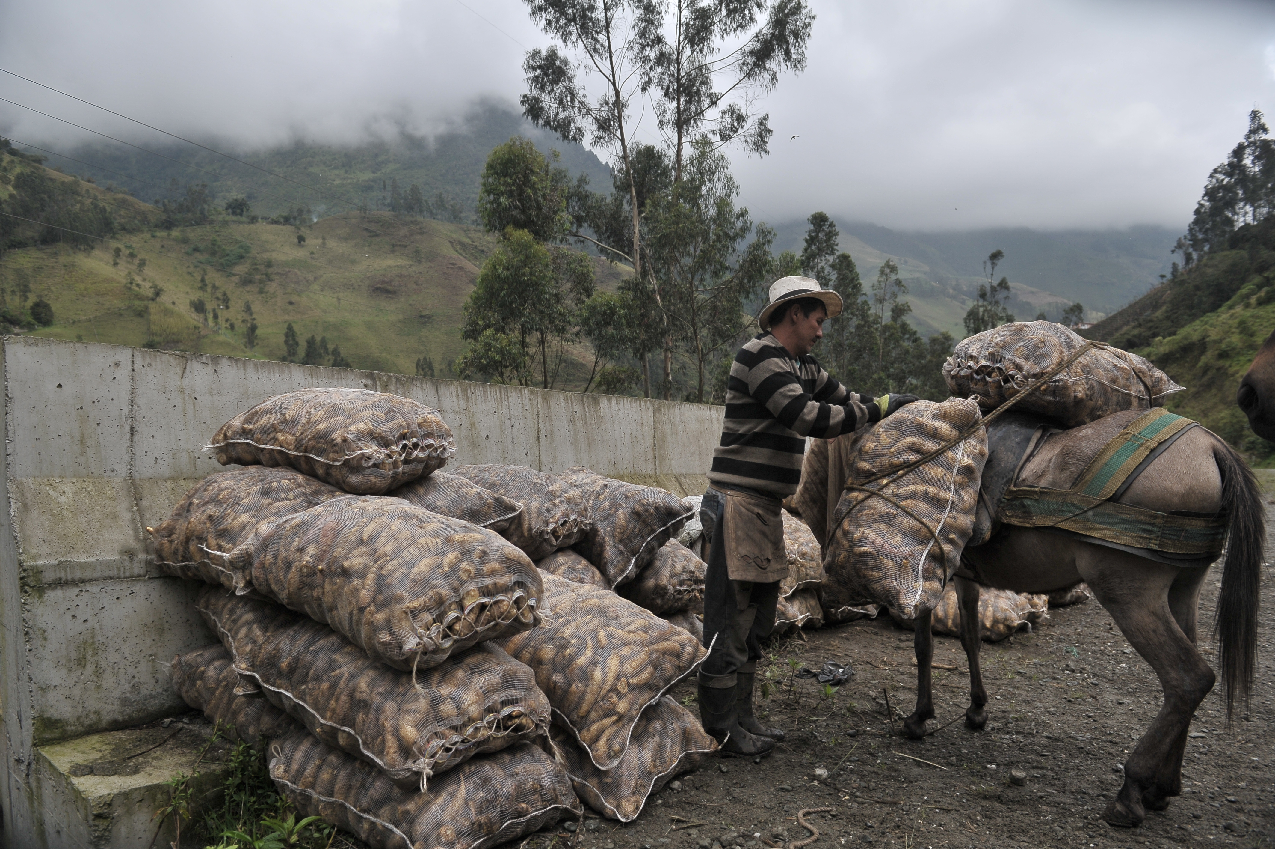 Estos fueron los alimentos que más subieron de precio en Colombia para abril de 2022
