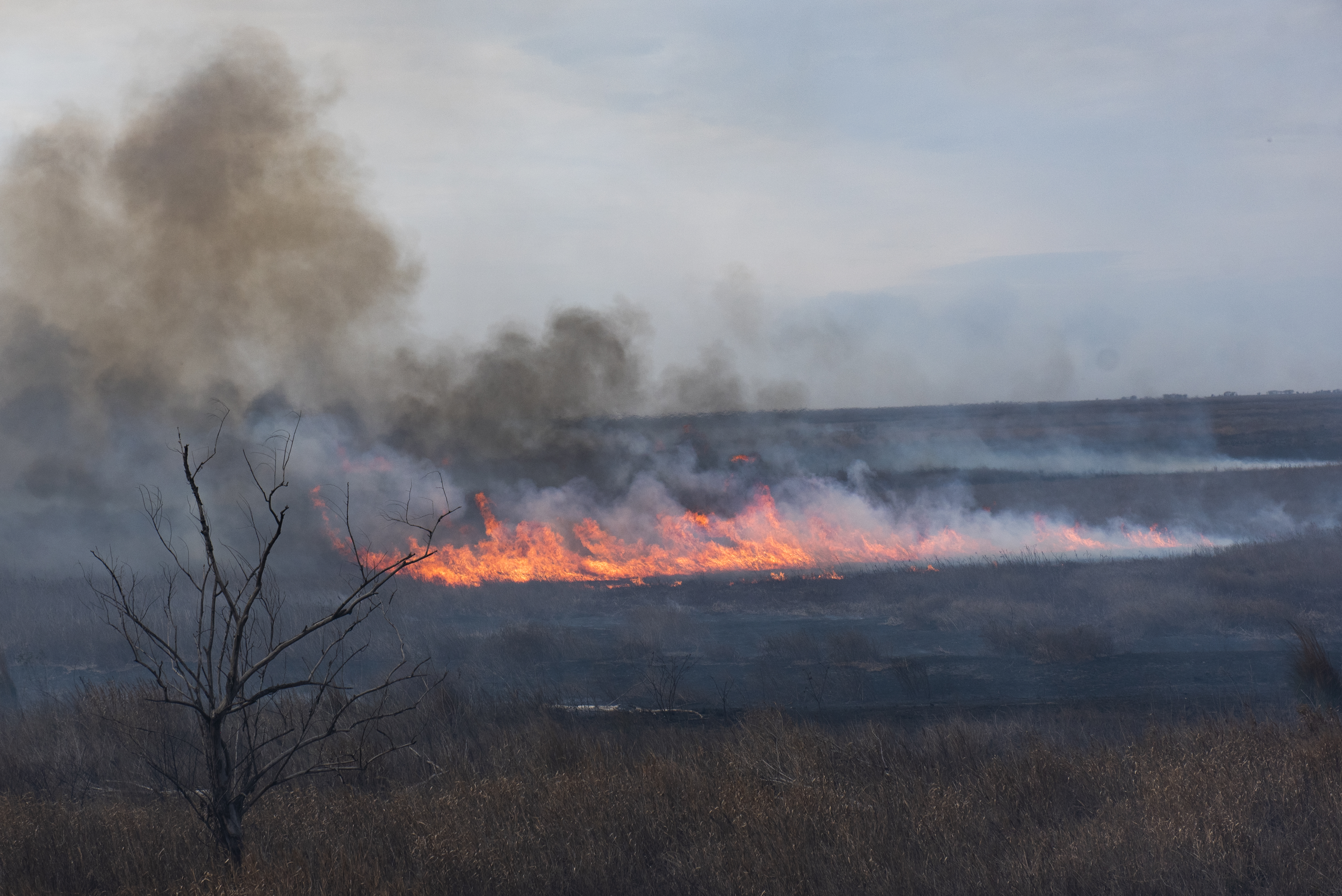 AME083. ENTRE RÍOS (ARGENTINA), 17/08/2022.- Fotografía de los incendios forestales que arden hoy, en el delta del río Paraná (Argentina). Los incendios en el Delta del Paraná que inundan de humo las ciudades aledañas e incluso alcanzó la ciudad de Buenos Aires motivaron que este miércoles un intendente hablara de un “ecocidio” en la costa del río Paraná provocado por “intencionalidades nuevas” y pidiera a la Justicia que investigue la repetición de las quemas. EFE/ Franco Trovato Fuoco