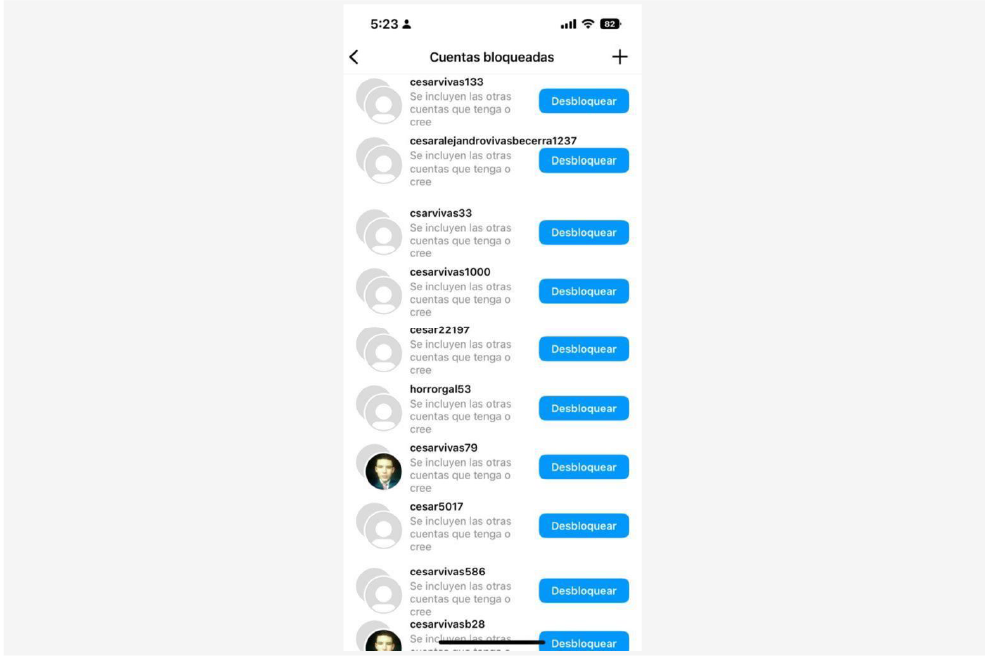Listado de perfiles que creó Cesar Vivas en Instagram para acosar a Lina Rezk.