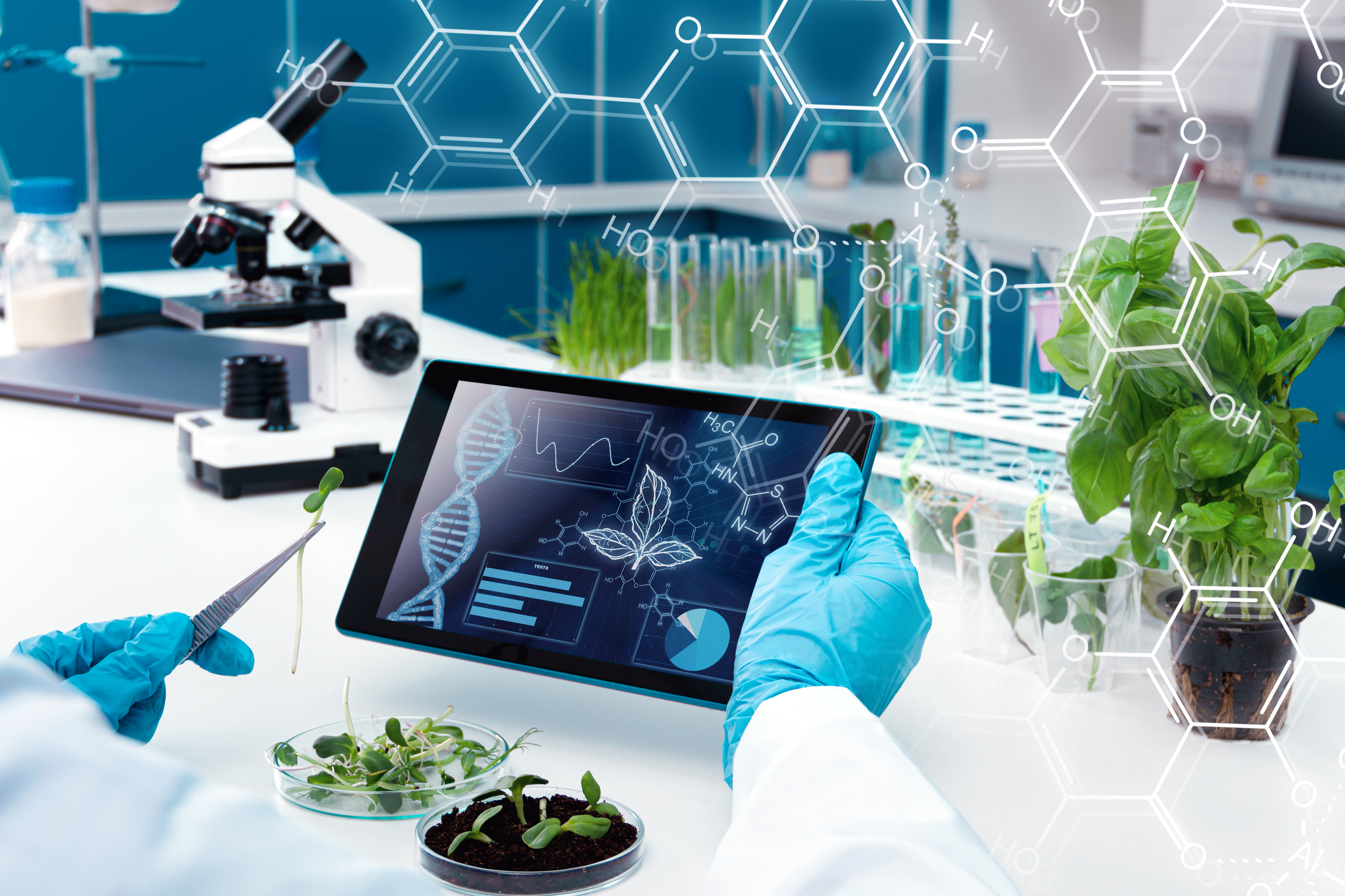 Los recursos genéticos son la primera escala de la biodiversidad.
