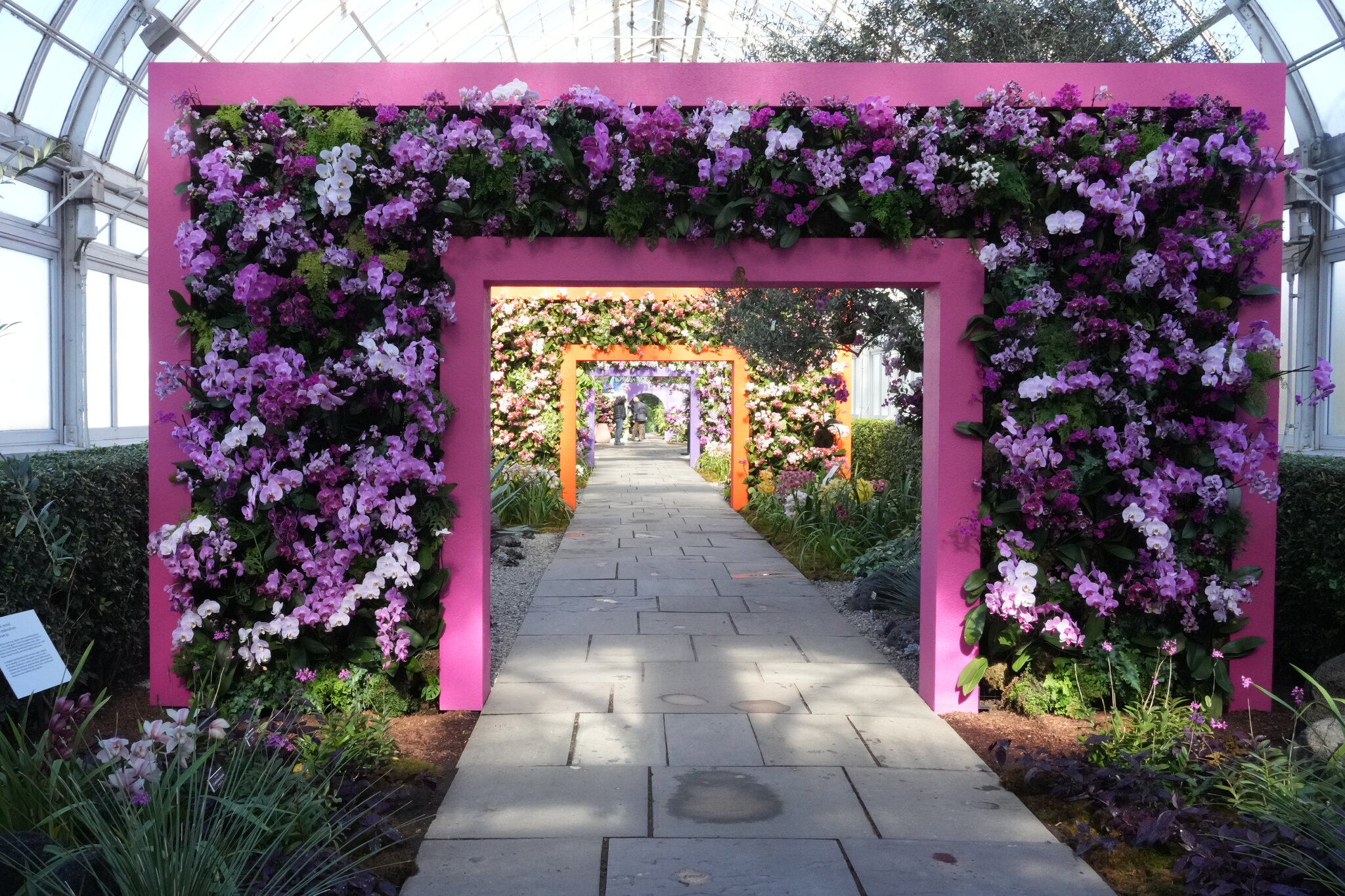 El Jardín Botánico de Nueva York rebosa de orquídeas