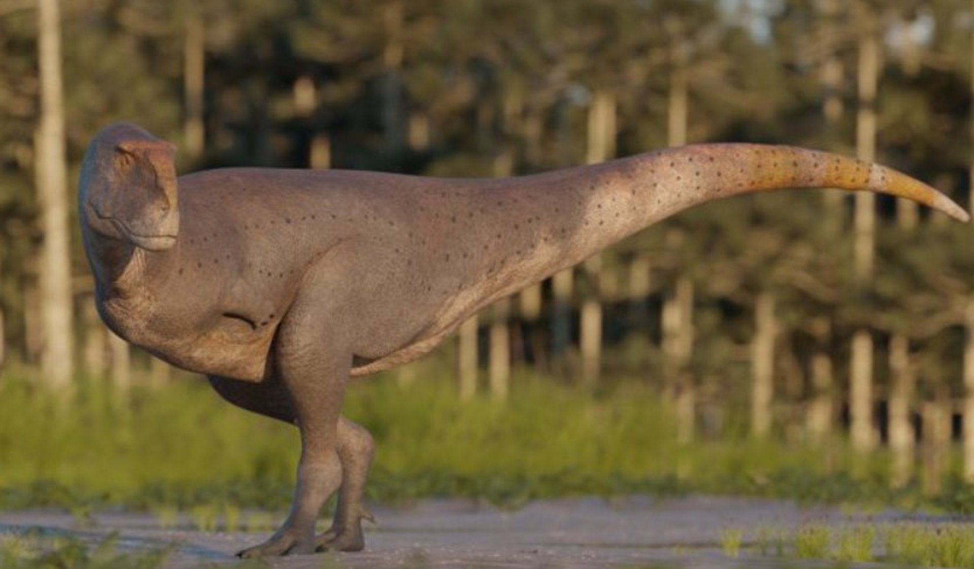 Descubren especie de dinosaurio que vivió hace 69 millones de años en Suramérica