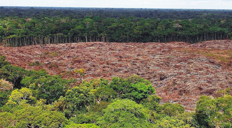 Deforestación en Brasil alcanza las peores tasas en 15 años
