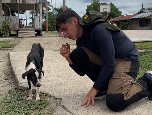 Julián Pinilla rescata perrita en el Amazonas y 182 días después logra darle un hogar