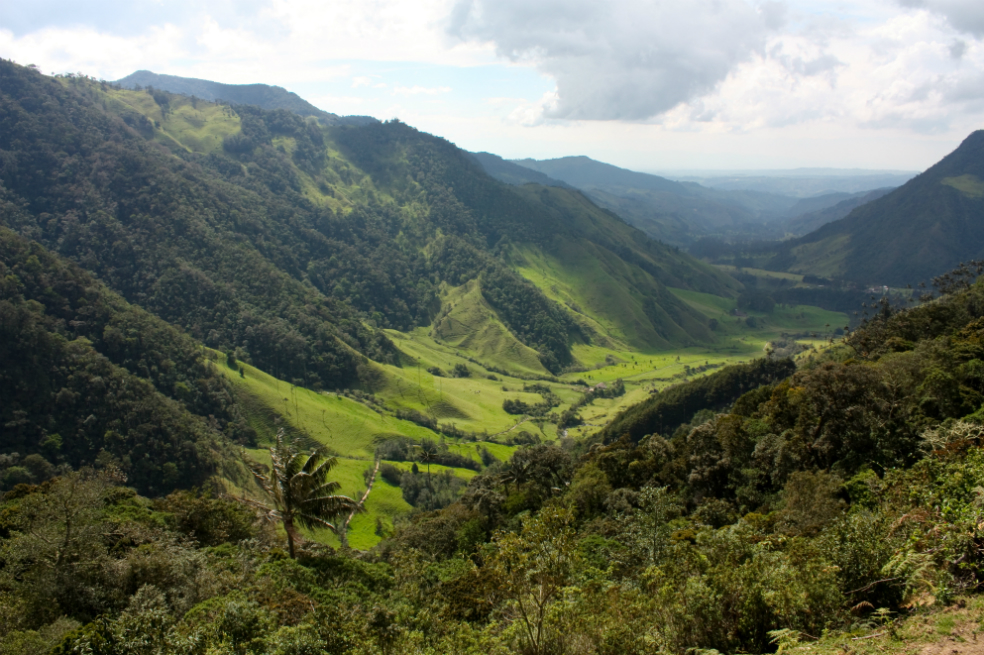 El Eje Cafetero, un clásico del turismo colombiano