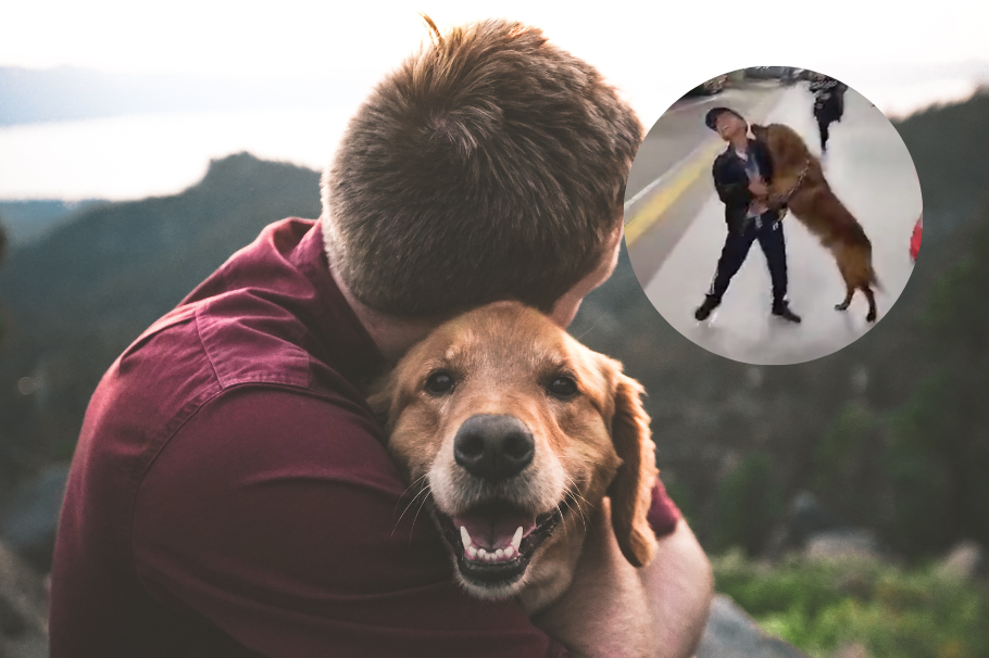 ¡Un final feliz! El reencuentro entre un niño y su perro perdido en TransMilenio