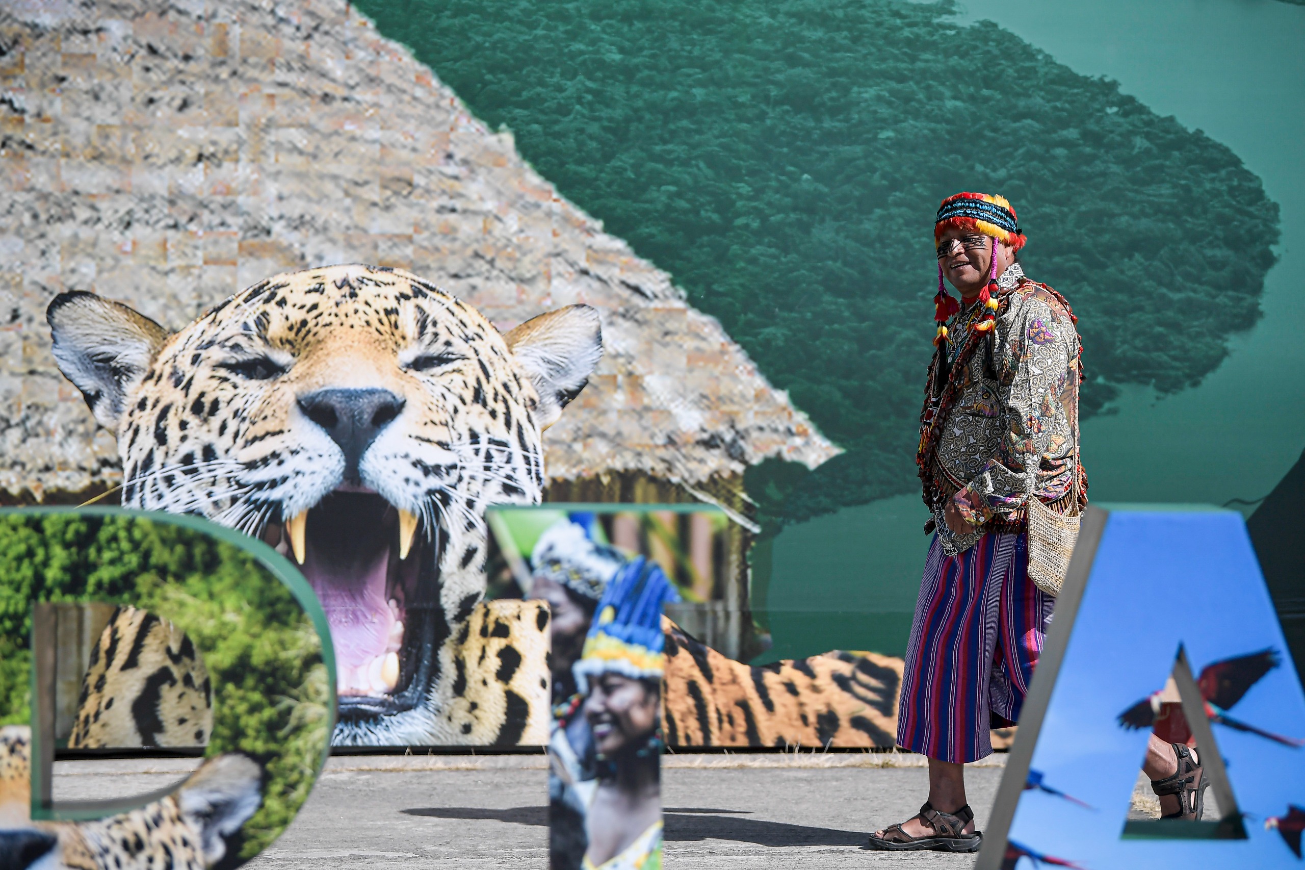 Triunfo de los pueblos indígenas: participarán oficialmente en decisiones sobre Amazonia