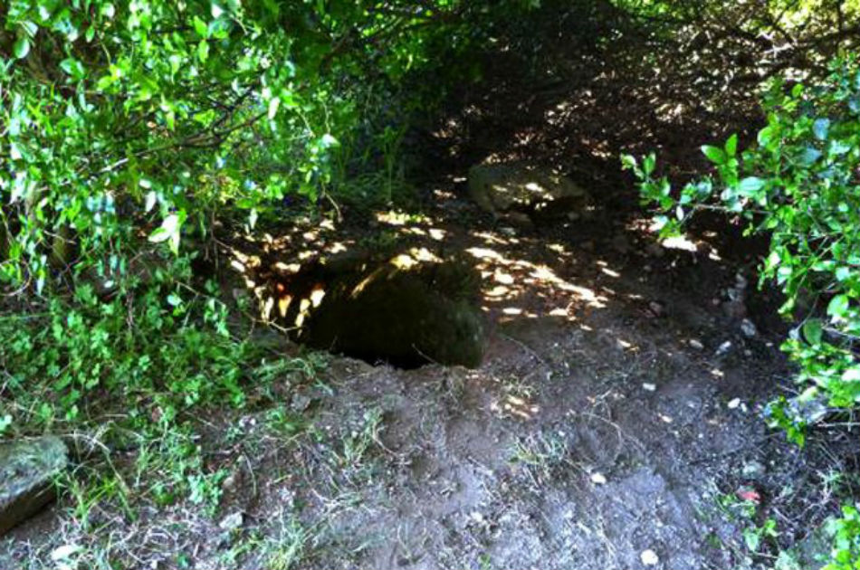 El cuerpo mutilado del pequeño de 11 años fue hallado en un aljibe