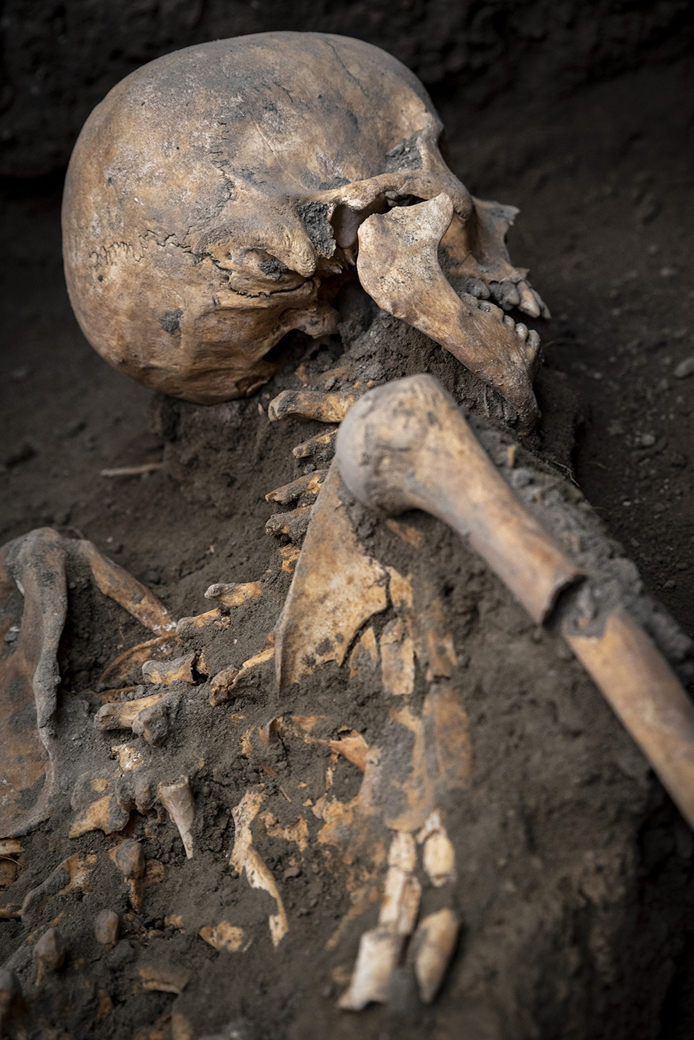 ROMA, 12/08/2024.-Las excavaciones que se realizan en el área arqueológica de Pompeya (sur de Italia), la ciudad destruida por la erupción del Vesubio en el 79 d.C, arrojaron nuevos hallazgos: dos víctimas de la erupción, un hombre y una mujer, que conservaba cerca de ella varias monedas de oro, plata y bronce, y algunas joyas, incluidos aretes de oro y perlas. EFE / Área arqueológica de Pompeya SOLO USO EDITORIAL/SOLO DISPONIBLE PARA ILUSTRAR LA NOTICIA QUE ACOMPAÑA (CRÉDITO OBLIGATORIO)