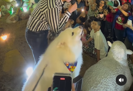 ¿Inseguro? Max, el perro de Jhonny Rivera, subió al escenario durante su concierto