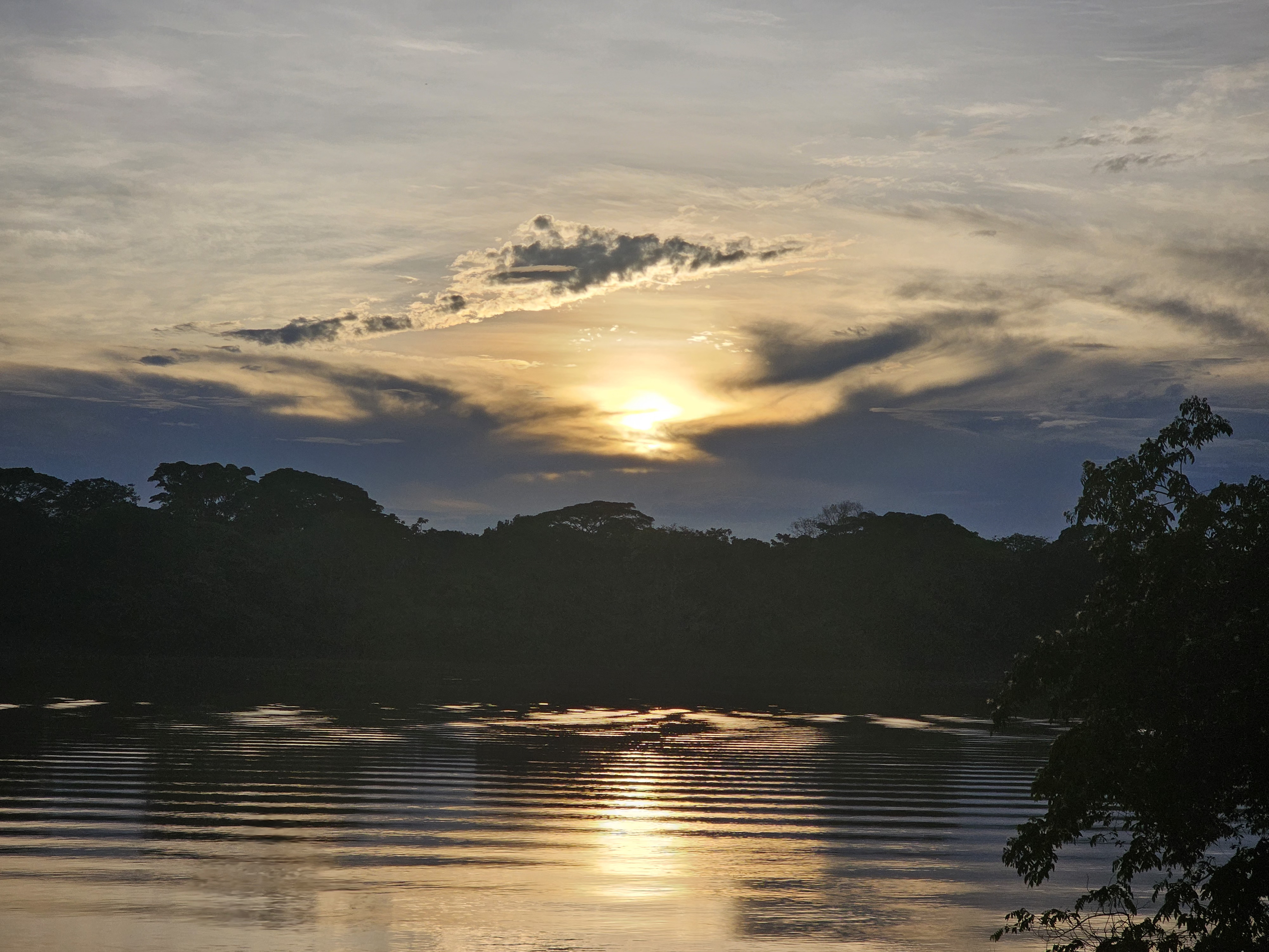 Atarcer llanero