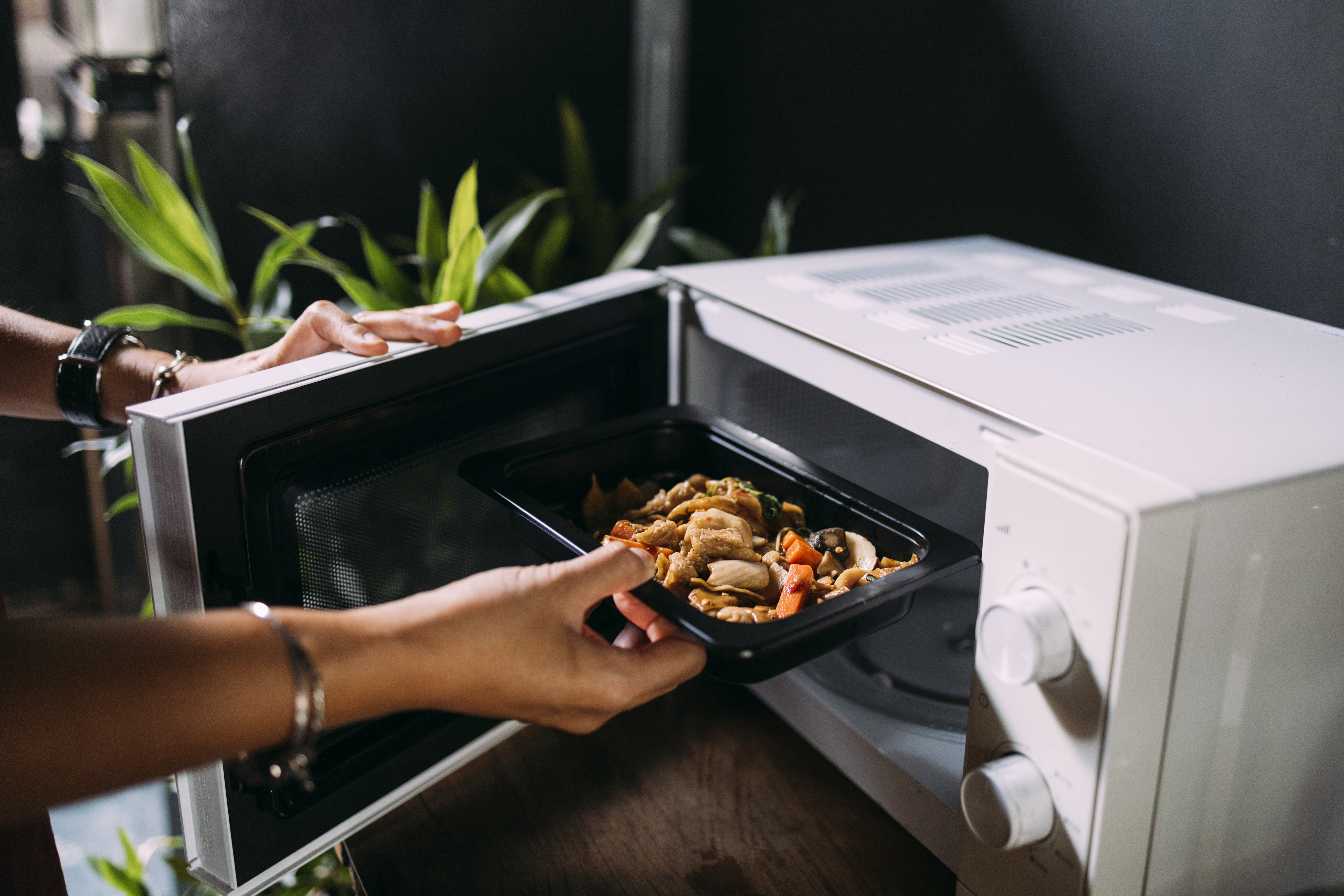 Horno microondas