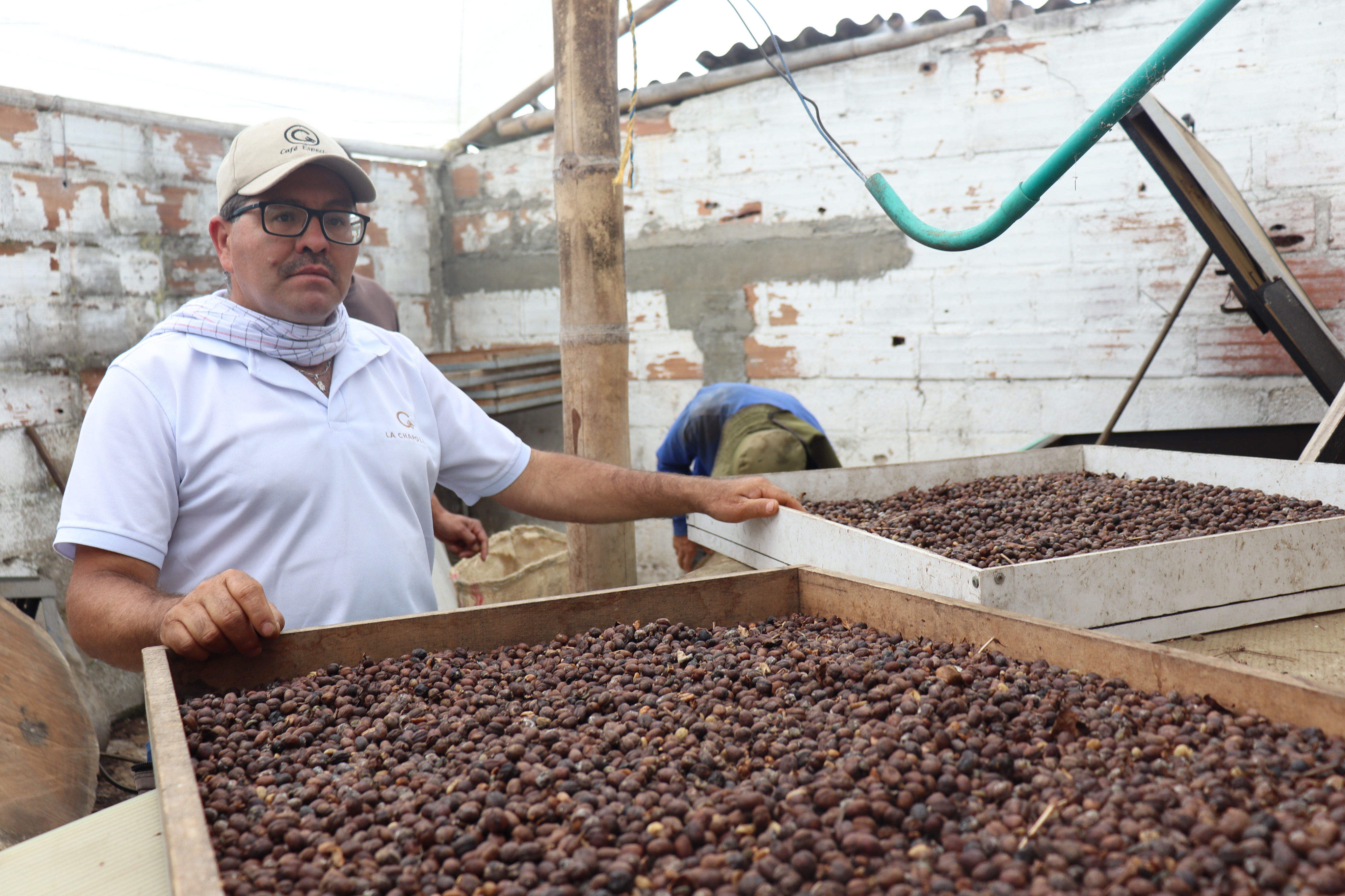 Café en Antioquia