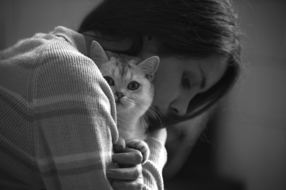 Gatos: ¿cuánto tiempo es recomendable dejarlos solos?