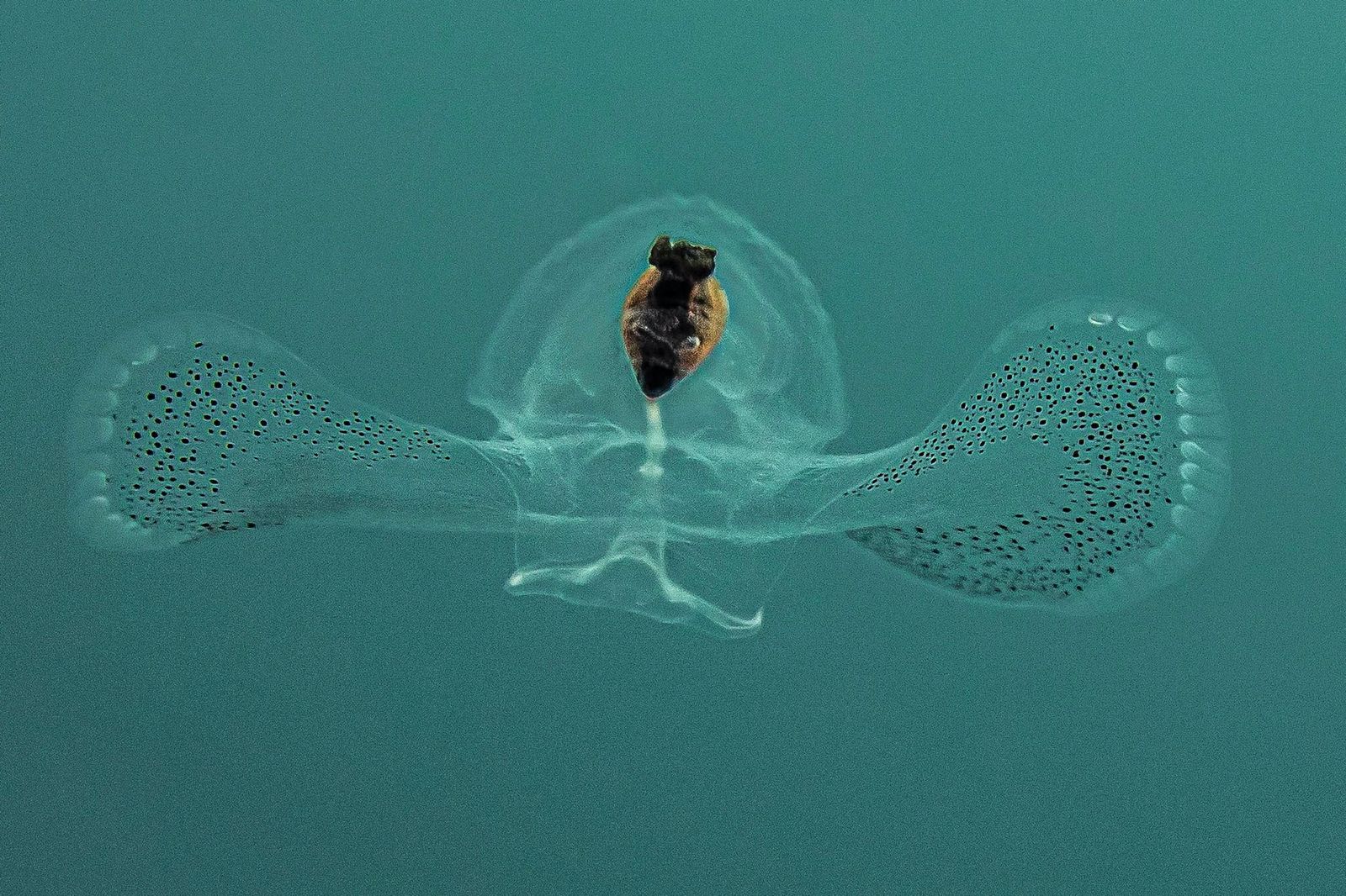 Expedición NatGeo en Colombia